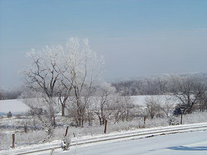 First snow