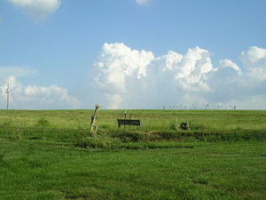 pond front